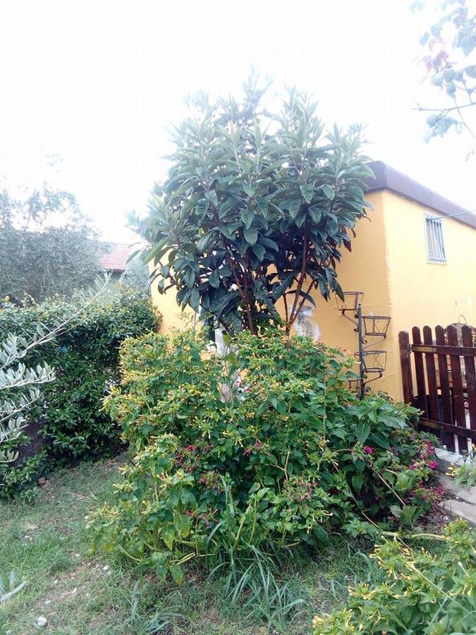 Bed and Breakfast Beb Da Tina Roccasecca Exterior foto